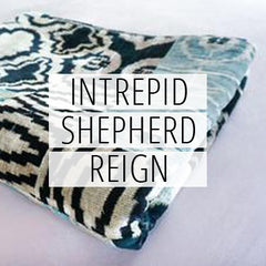 INTERPRID SHEPHERD REIGN